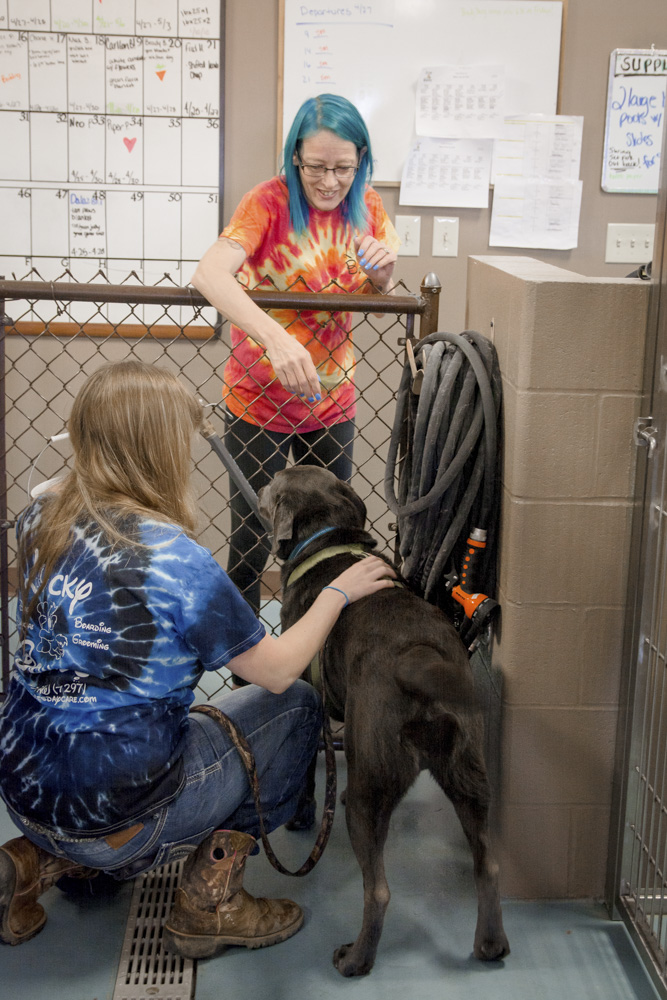 Dog grooming and daycare services at Lucky Bones Pet Resort