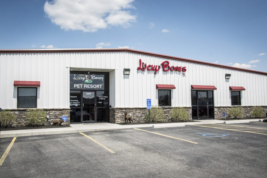 Dog Boarding Kennel FAQ Winchester, OH Lucky Bones