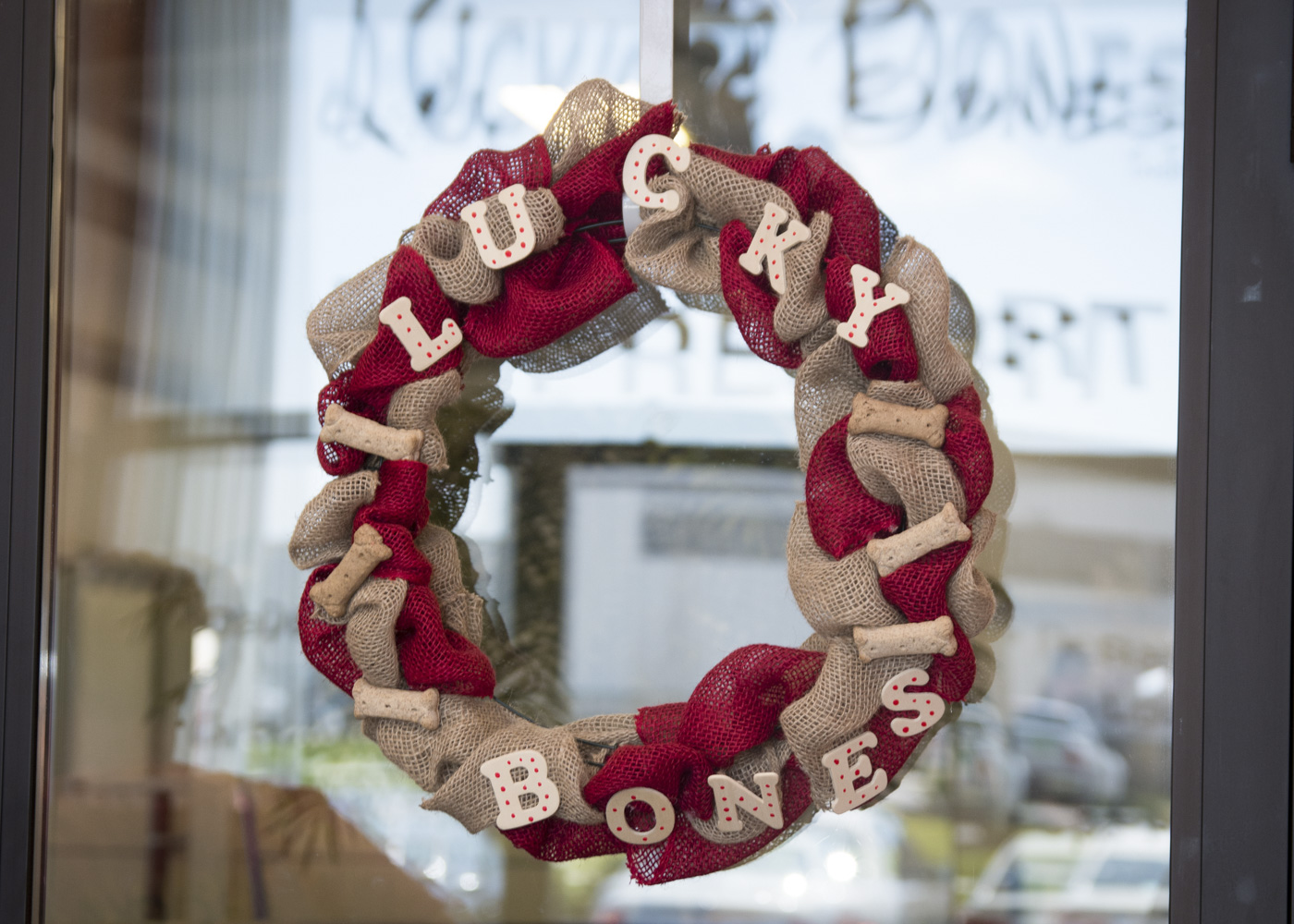 Dog daycare, boarding, and pet care near Columbus Ohio