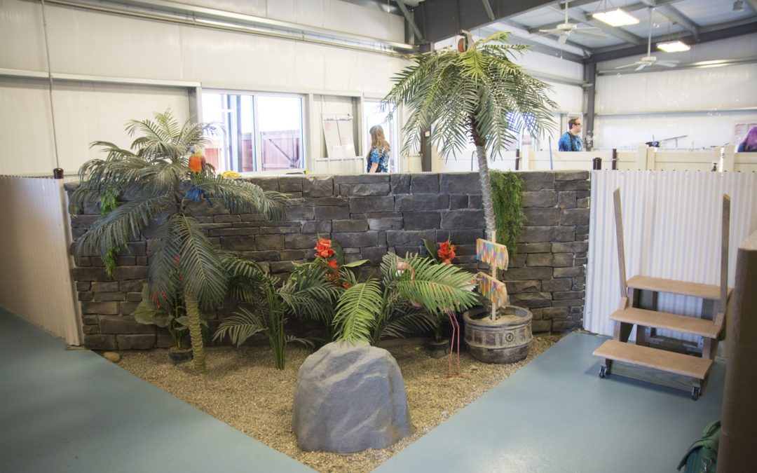A Day in the Life at Lucky Bones Pet Resort: Exceptional Pet Daycare in Columbus, OH