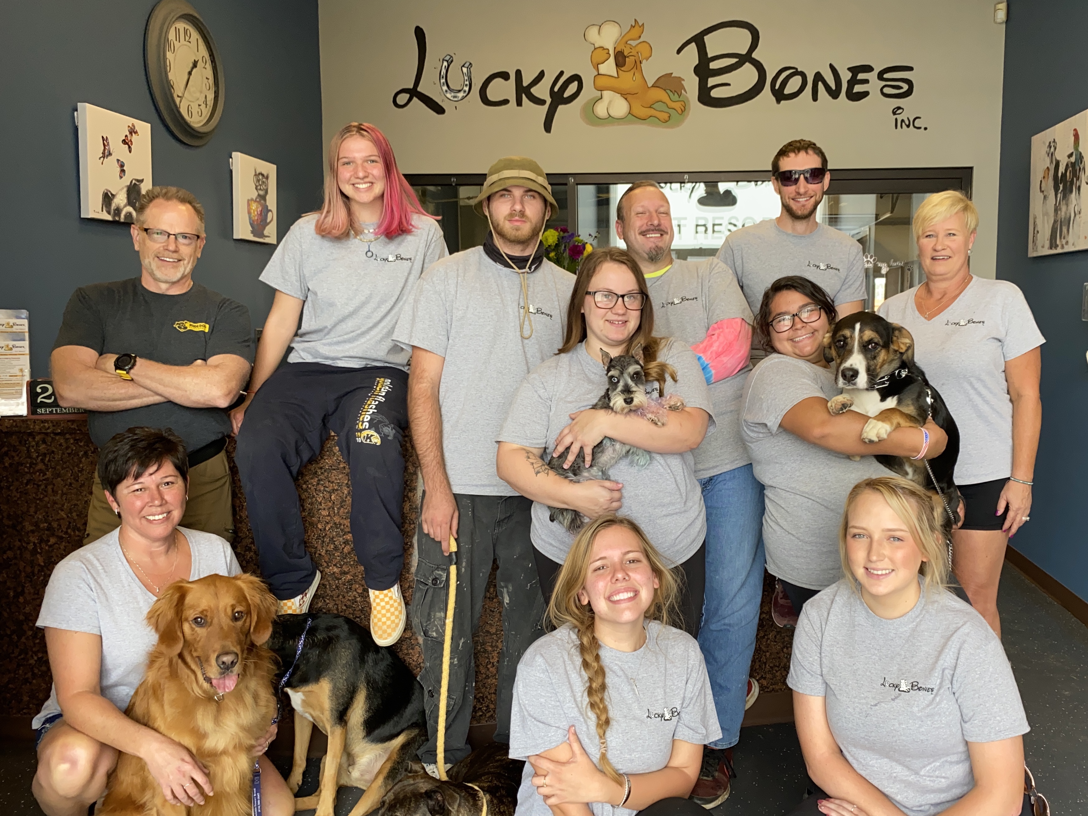 How Does Cat Daycare Benefit Your Feline?