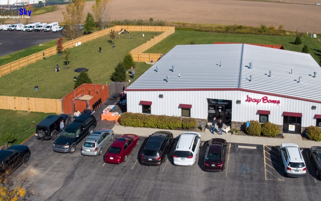 How Do You Choose the Best Dog Boarding Facility?
